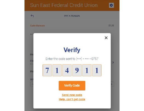 Screenshot of verification code