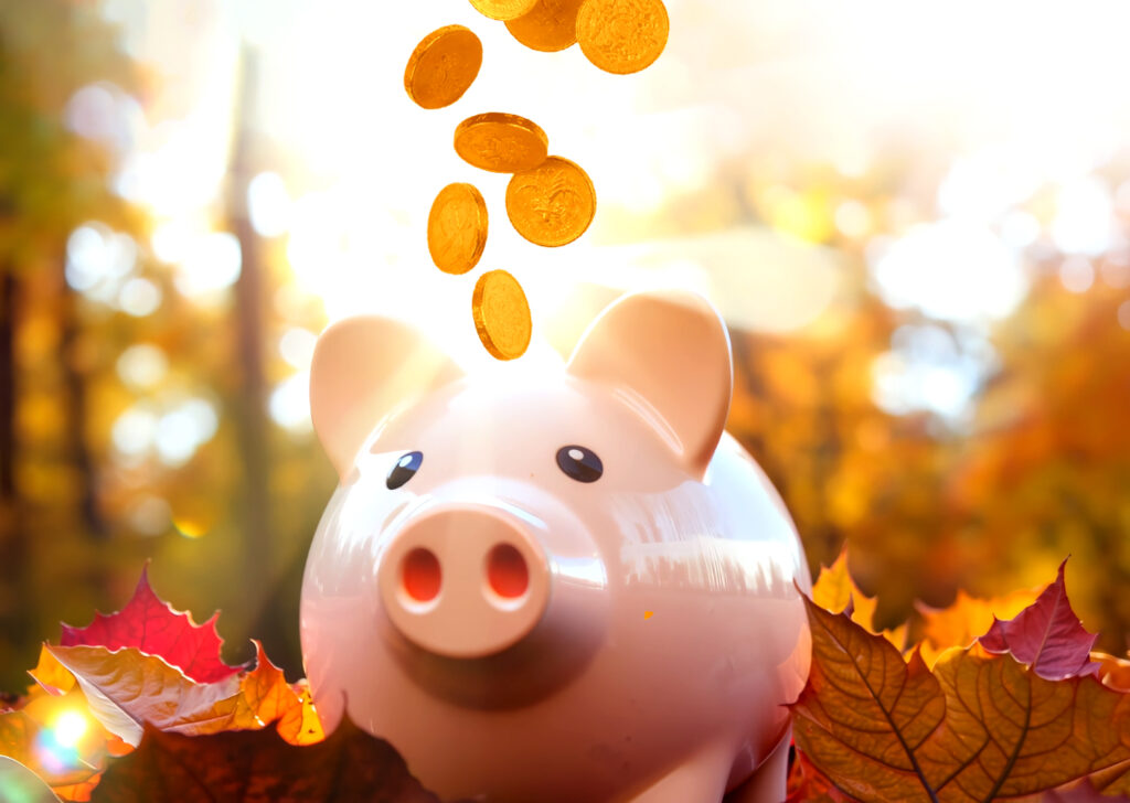 harvest pig with coins