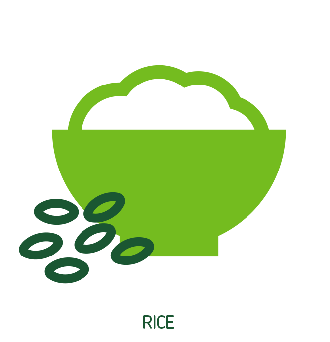 Rice