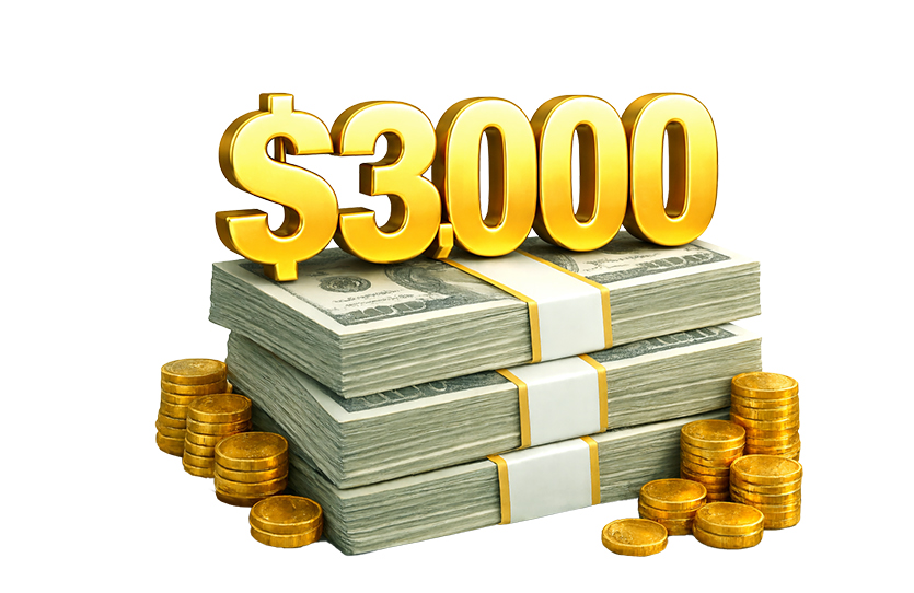 $3,000 Grand Prize icon